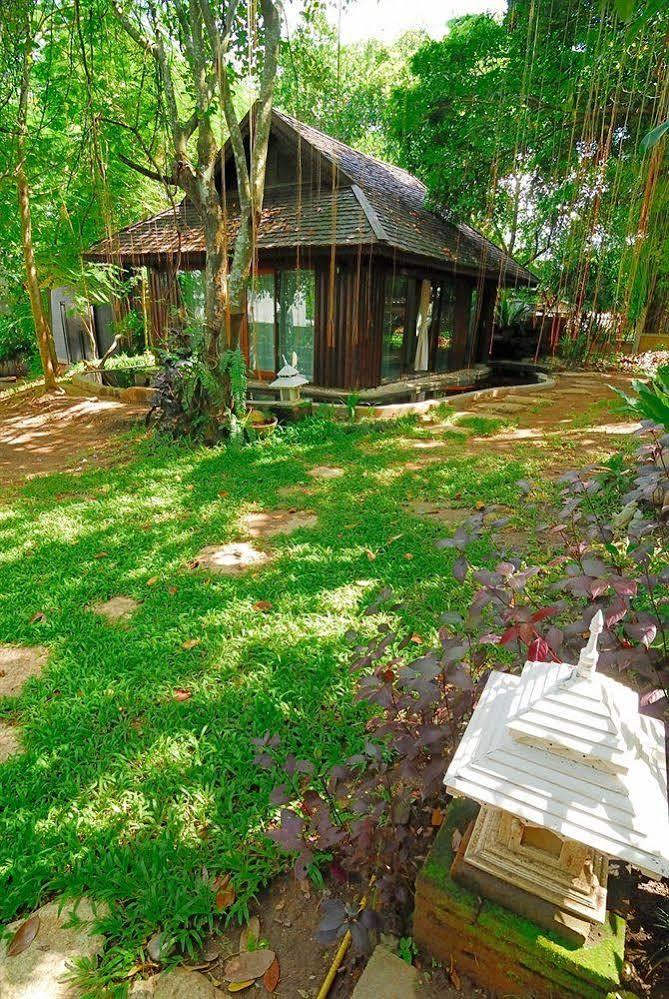 Viva Chiang Mai Nature Home Stay Esterno foto